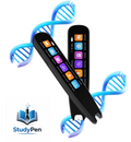 StudyPen